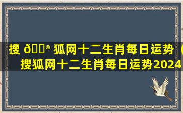 搜 💮 狐网十二生肖每日运势（搜狐网十二生肖每日运势2024年3月3日）